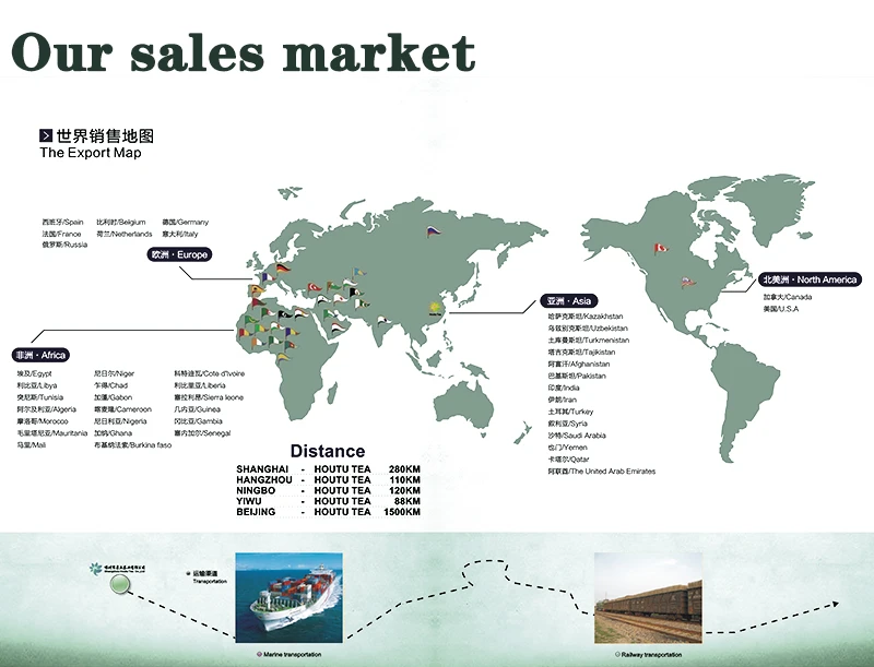 Morocco market reference Morocco and Laayoune market reference for Gunpowder Green Tea