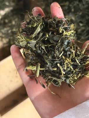 Air-Dried Gunpowder Pellets | Natural Drying Craft, Original Tea Character best